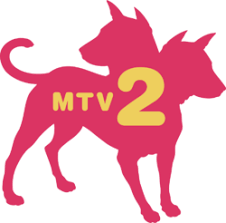 mtv2